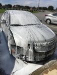 IMG_1334.jpg