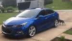 cruze1.JPG