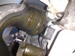 IMG_20180921_175326978.jpg