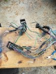 chevy harness.jpg